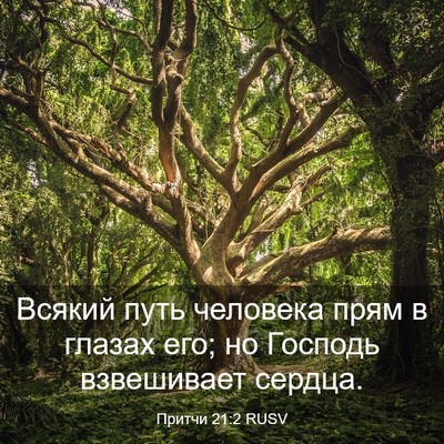 Picture 03 - Притчи 21:2 RUSV - Всякий путь человека прям - Bible Verse Picture