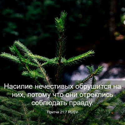 Picture 03 - Притчи 21:7 RUSV - Насилие нечестивых - Bible Verse Picture