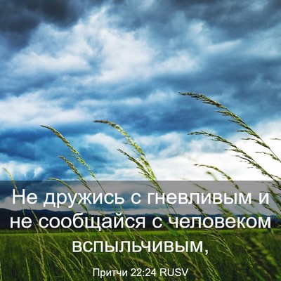 Picture 03 - Притчи 22:24 RUSV - Не дружись с гневливым и не - Bible Verse Picture