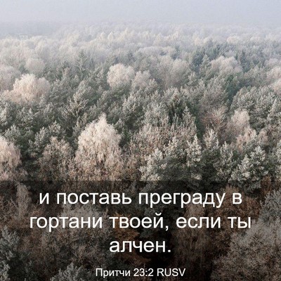 Picture 03 - Притчи 23:2 RUSV - и поставь преграду в - Bible Verse Picture