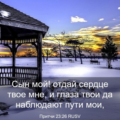 Picture 03 - Притчи 23:26 RUSV - Сын мой! отдай сердце твое - Bible Verse Picture