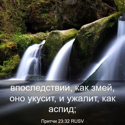 Picture 03 - Притчи 23:32 RUSV - впоследствии, как змей, оно - Bible Verse Picture