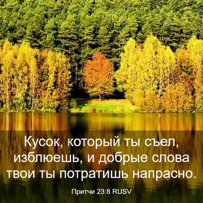 Picture 03 - Притчи 23:8 RUSV - Кусок, который ты съел, - Bible Verse Picture