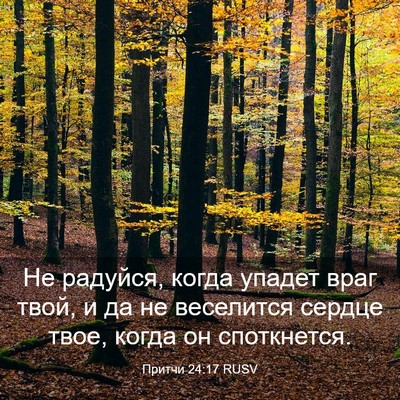 Picture 03 - Притчи 24:17 RUSV - Не радуйся, когда упадет - Bible Verse Picture