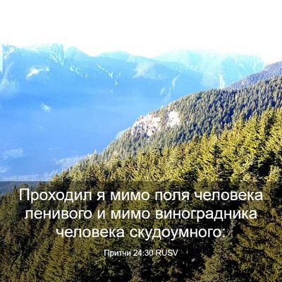 Picture 03 - Притчи 24:30 RUSV - Проходил я мимо поля - Bible Verse Picture