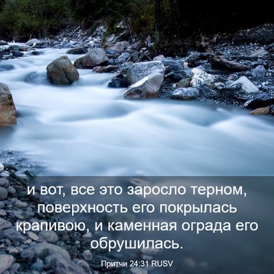 Picture 03 - Притчи 24:31 RUSV - и вот, все это заросло - Bible Verse Picture