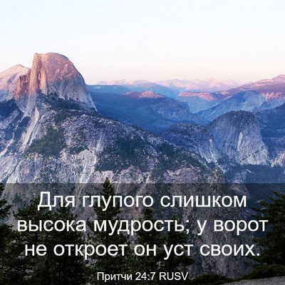 Picture 03 - Притчи 24:7 RUSV - Для глупого слишком высока - Bible Verse Picture