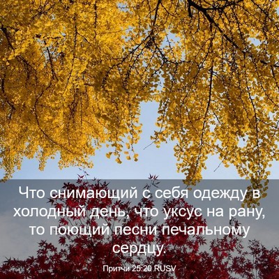 Picture 03 - Притчи 25:20 RUSV - Что снимающий с себя - Bible Verse Picture