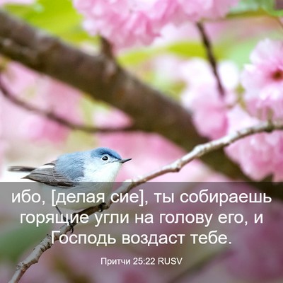 Picture 03 - Притчи 25:22 RUSV - ибо, [делая сие], ты - Bible Verse Picture