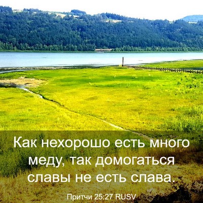 Picture 03 - Притчи 25:27 RUSV - Как нехорошо есть много - Bible Verse Picture