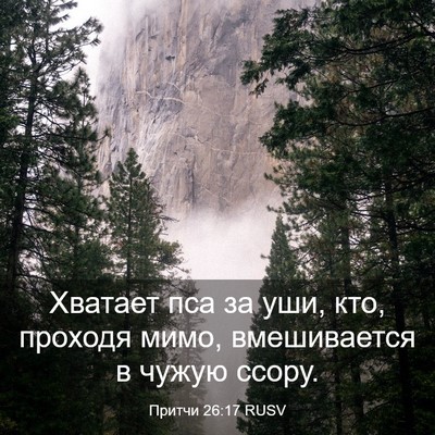 Picture 03 - Притчи 26:17 RUSV - Хватает пса за уши, кто, - Bible Verse Picture