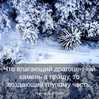 Picture 03 - Притчи 26:8 RUSV - Что влагающий драгоценный - Bible Verse Picture