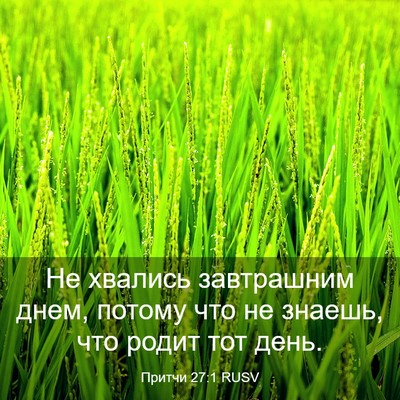 Picture 03 - Притчи 27:1 RUSV - Не хвались завтрашним - Bible Verse Picture
