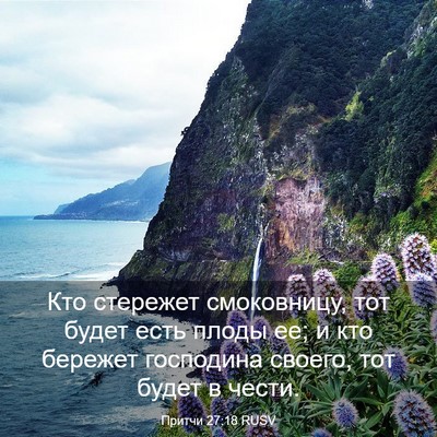 Picture 03 - Притчи 27:18 RUSV - Кто стережет смоковницу, - Bible Verse Picture