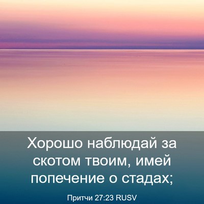 Picture 03 - Притчи 27:23 RUSV - Хорошо наблюдай за скотом - Bible Verse Picture