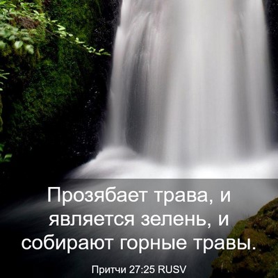 Picture 03 - Притчи 27:25 RUSV - Прозябает трава, и - Bible Verse Picture