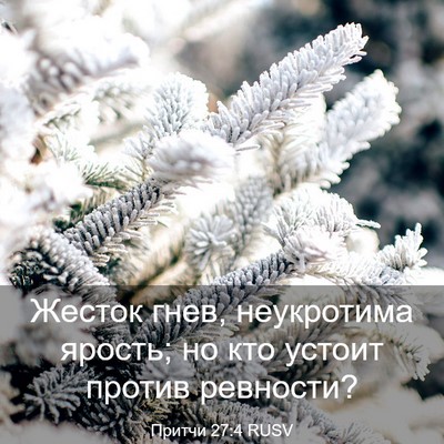 Picture 03 - Притчи 27:4 RUSV - Жесток гнев, неукротима - Bible Verse Picture