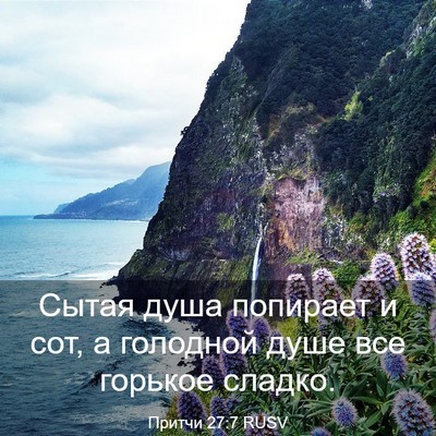 Picture 03 - Притчи 27:7 RUSV - Сытая душа попирает и сот, - Bible Verse Picture