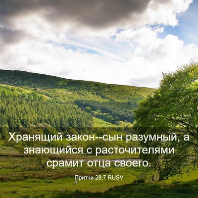 Picture 03 - Притчи 28:7 RUSV - Хранящий закон--сын - Bible Verse Picture