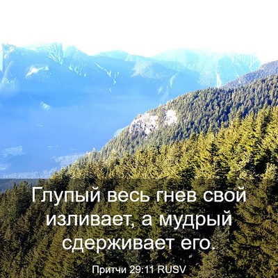 Picture 03 - Притчи 29:11 RUSV - Глупый весь гнев свой - Bible Verse Picture