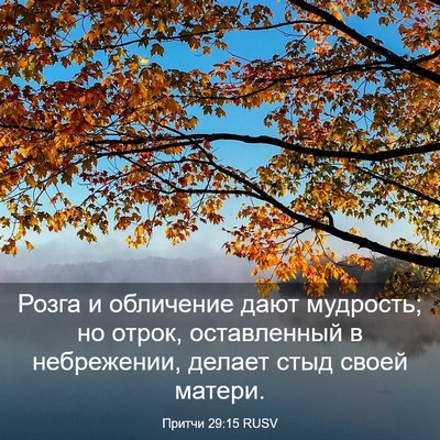Picture 03 - Притчи 29:15 RUSV - Розга и обличение дают - Bible Verse Picture