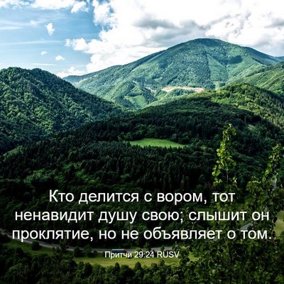 Picture 03 - Притчи 29:24 RUSV - Кто делится с вором, тот - Bible Verse Picture