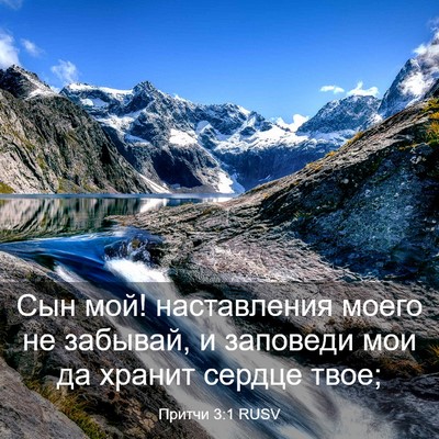 Picture 03 - Притчи 3:1 RUSV - Сын мой! наставления моего - Bible Verse Picture