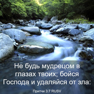 Picture 03 - Притчи 3:7 RUSV - Не будь мудрецом в глазах - Bible Verse Picture