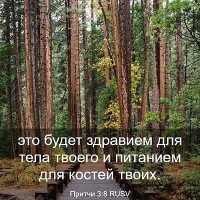 Picture 03 - Притчи 3:8 RUSV - это будет здравием для - Bible Verse Picture