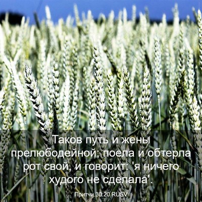 Picture 03 - Притчи 30:20 RUSV - Таков путь и жены - Bible Verse Picture