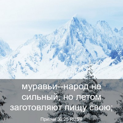 Picture 03 - Притчи 30:25 RUSV - муравьи--народ не сильный, - Bible Verse Picture