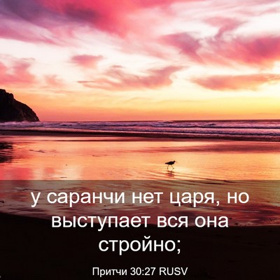 Picture 03 - Притчи 30:27 RUSV - у саранчи нет царя, но - Bible Verse Picture
