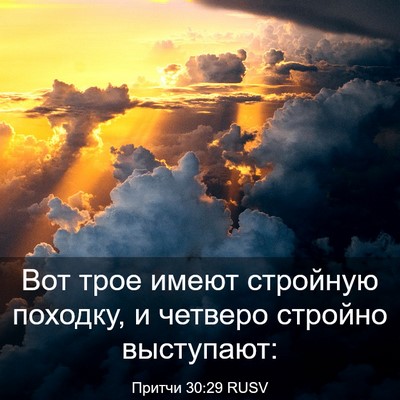Picture 03 - Притчи 30:29 RUSV - Вот трое имеют стройную - Bible Verse Picture