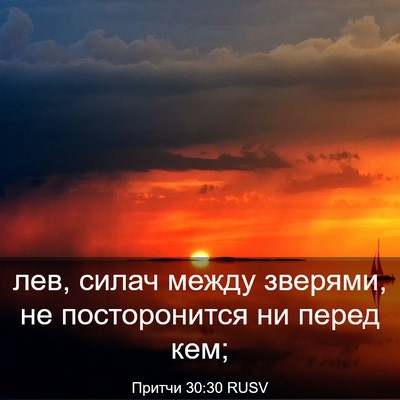 Picture 03 - Притчи 30:30 RUSV - лев, силач между зверями, - Bible Verse Picture