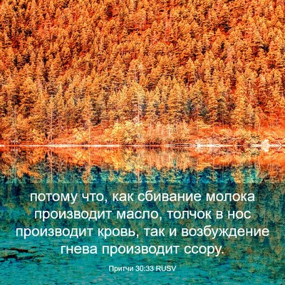 Picture 03 - Притчи 30:33 RUSV - потому что, как сбивание - Bible Verse Picture