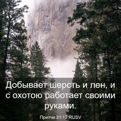Picture 03 - Притчи 31:13 RUSV - Добывает шерсть и лен, и с - Bible Verse Picture