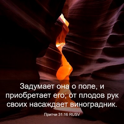Picture 03 - Притчи 31:16 RUSV - Задумает она о поле, и - Bible Verse Picture