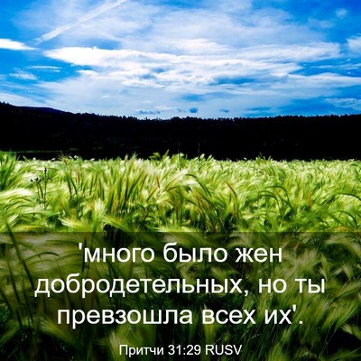 Picture 03 - Притчи 31:29 RUSV - 'много было жен - Bible Verse Picture