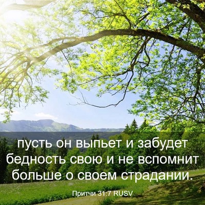 Picture 03 - Притчи 31:7 RUSV - пусть он выпьет и забудет - Bible Verse Picture