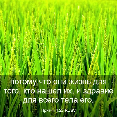 Picture 03 - Притчи 4:22 RUSV - потому что они жизнь для - Bible Verse Picture