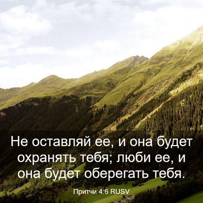 Picture 03 - Притчи 4:6 RUSV - Не оставляй ее, и она будет - Bible Verse Picture