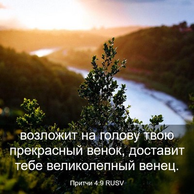 Picture 03 - Притчи 4:9 RUSV - возложит на голову твою - Bible Verse Picture