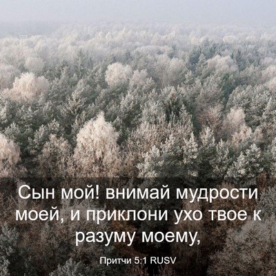 Picture 03 - Притчи 5:1 RUSV - Сын мой! внимай мудрости - Bible Verse Picture