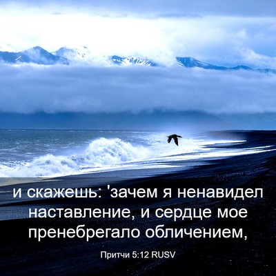 Picture 03 - Притчи 5:12 RUSV - и скажешь: 'зачем я - Bible Verse Picture