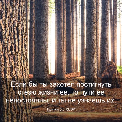 Picture 03 - Притчи 5:6 RUSV - Если бы ты захотел - Bible Verse Picture