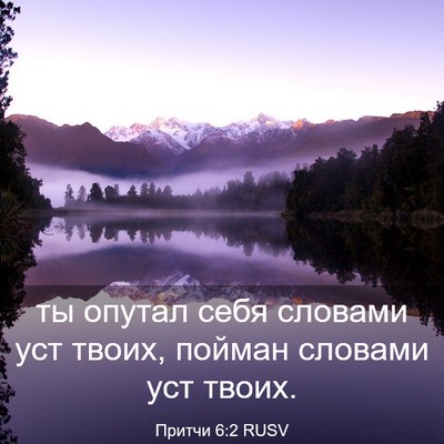 Picture 03 - Притчи 6:2 RUSV - ты опутал себя словами уст - Bible Verse Picture