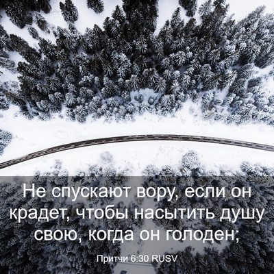 Picture 03 - Притчи 6:30 RUSV - Не спускают вору, если он - Bible Verse Picture
