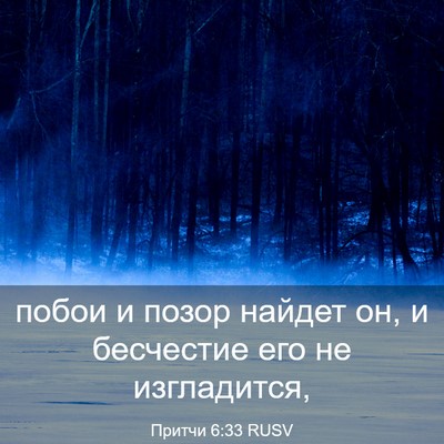 Picture 03 - Притчи 6:33 RUSV - побои и позор найдет он, и - Bible Verse Picture