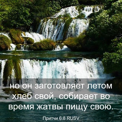 Picture 03 - Притчи 6:8 RUSV - но он заготовляет летом - Bible Verse Picture
