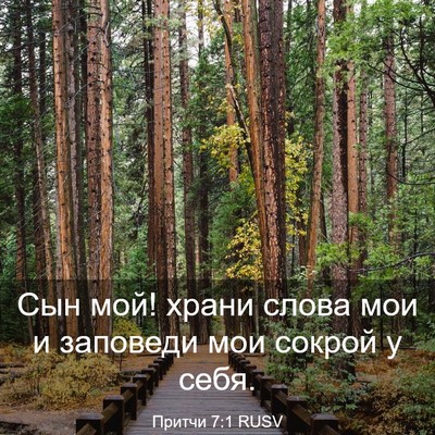 Picture 03 - Притчи 7:1 RUSV - Сын мой! храни слова мои и - Bible Verse Picture